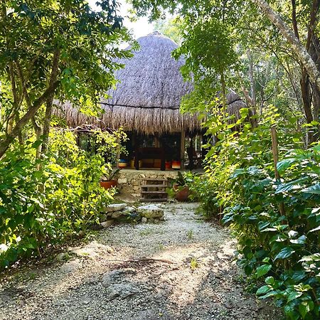 מלון טולום Glamping Bunga Lotus מראה חיצוני תמונה