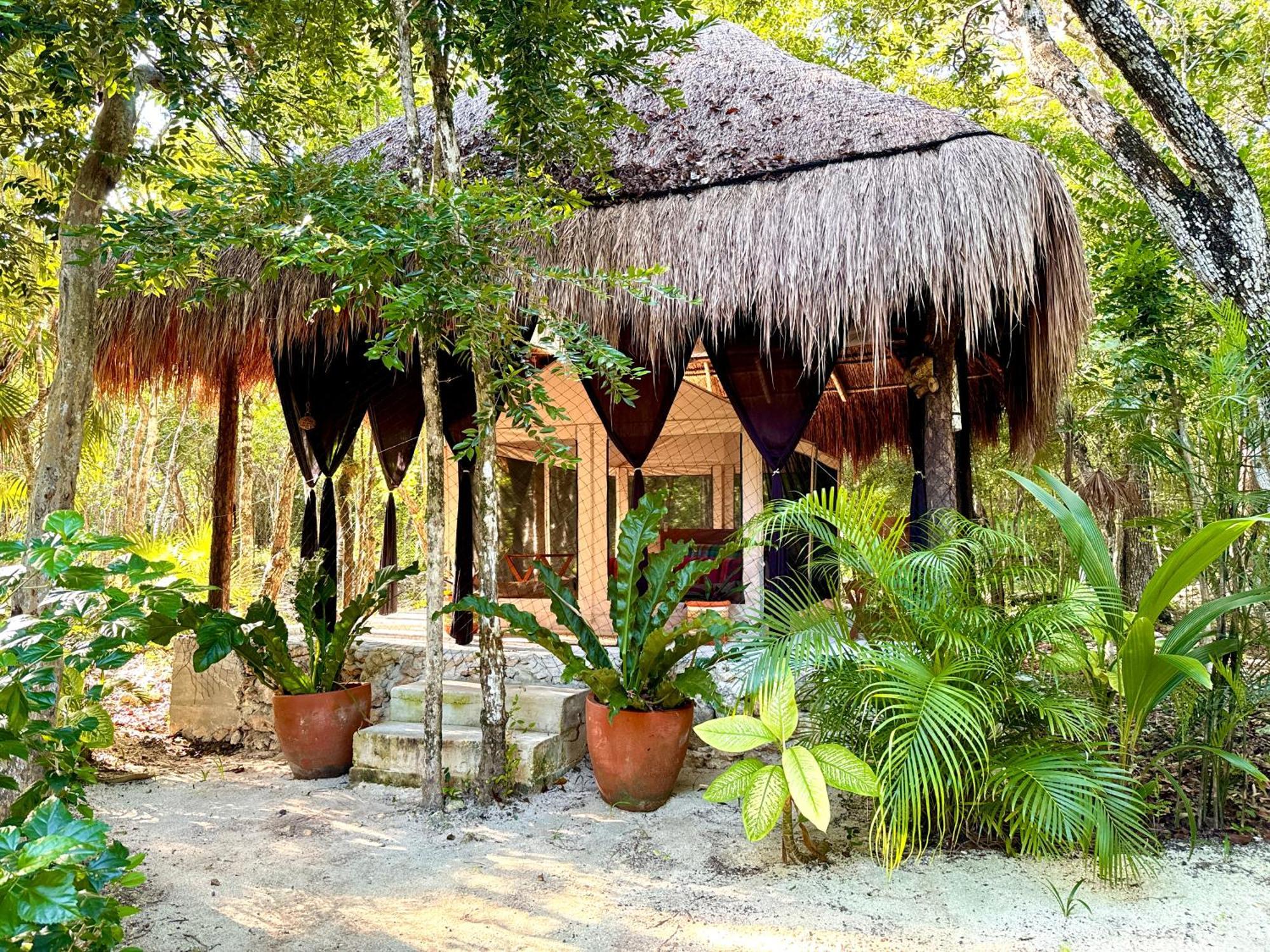 מלון טולום Glamping Bunga Lotus מראה חיצוני תמונה