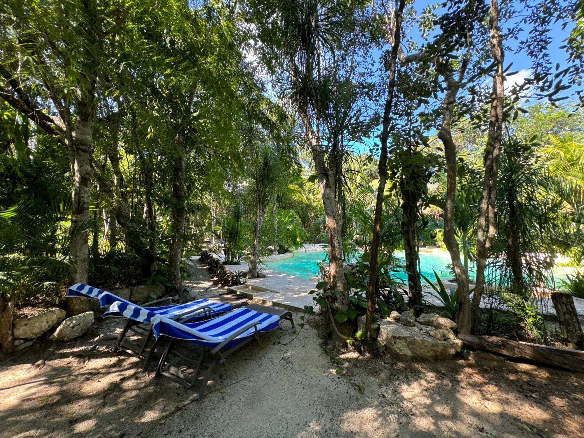 מלון טולום Glamping Bunga Lotus מראה חיצוני תמונה