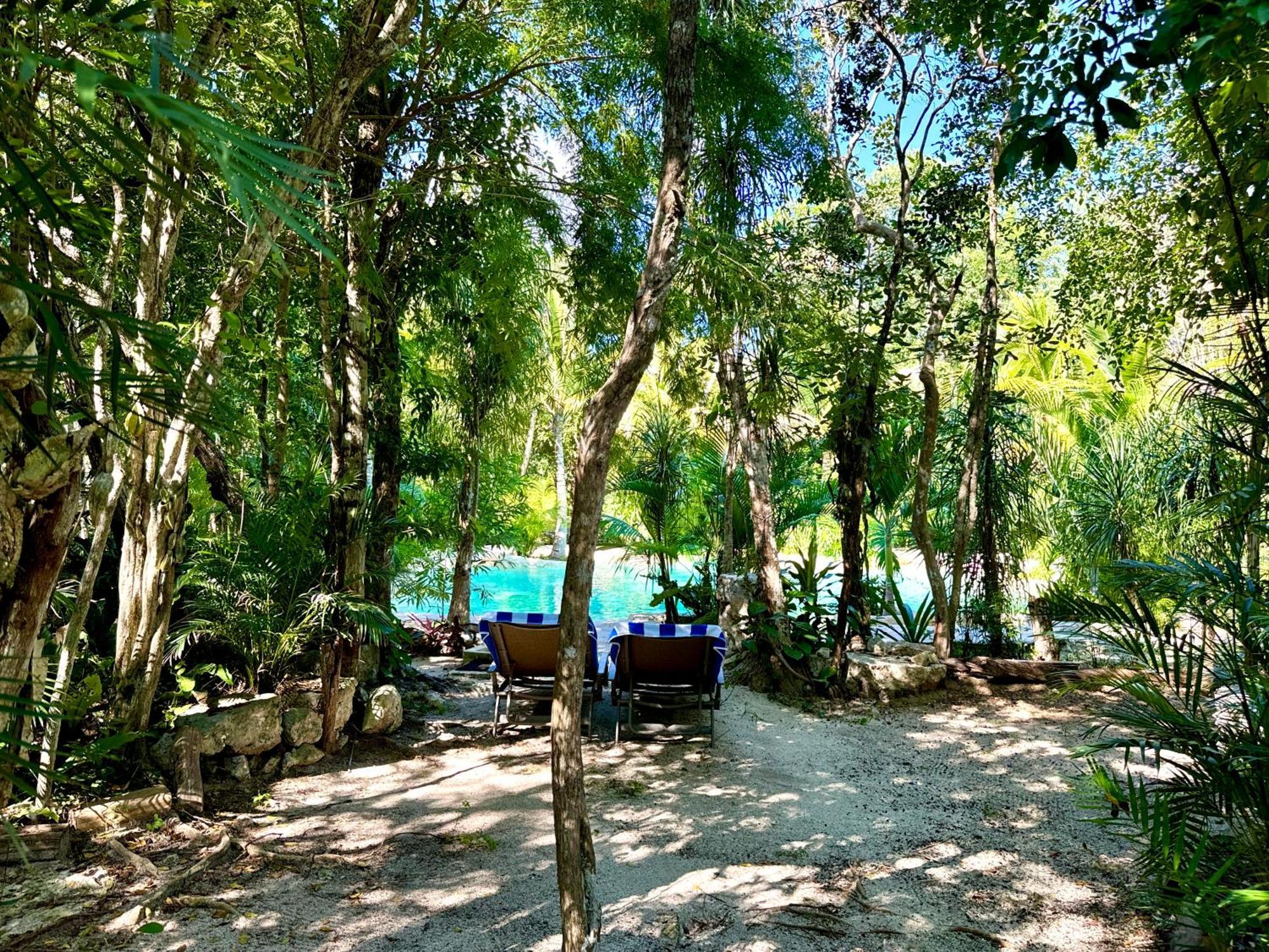 מלון טולום Glamping Bunga Lotus מראה חיצוני תמונה